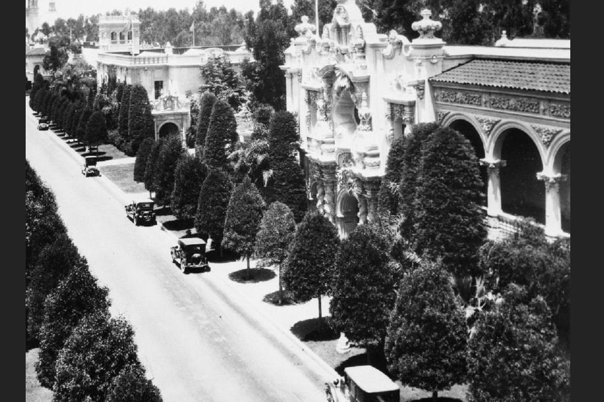 Kate Session Planted Trees in Balboa Park