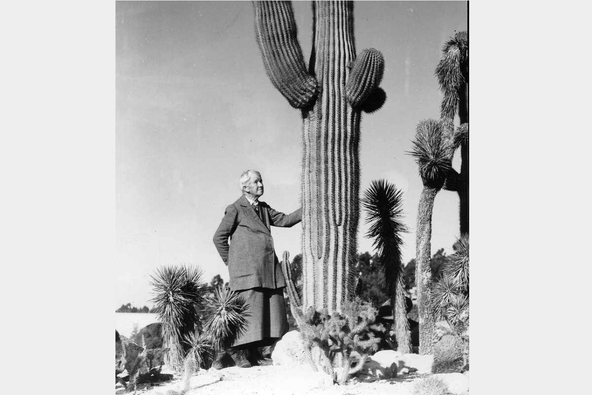 Kate Sessions Desert Gardem