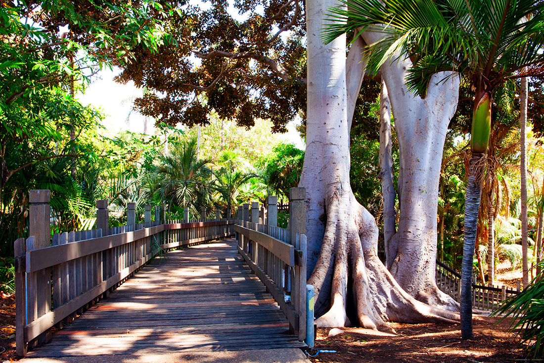 Preserving Kate Session’s Palm Canyon is Important