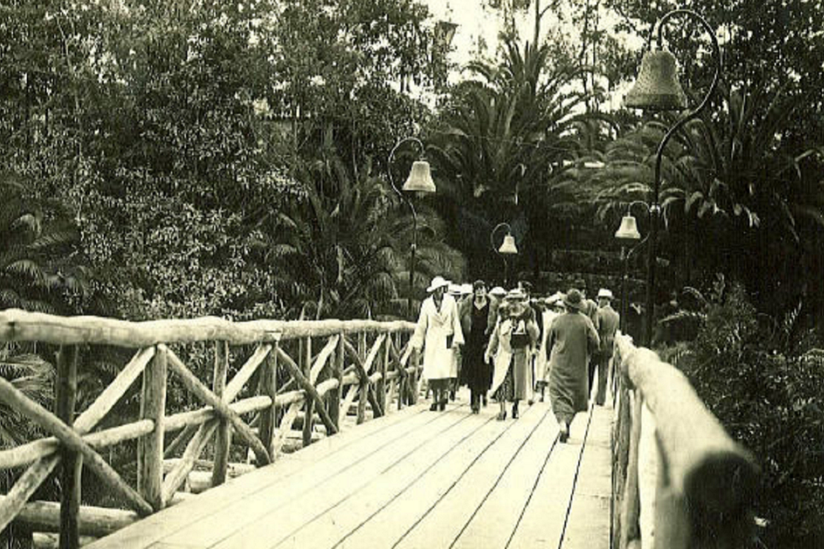 Palm Canyon Balboa park